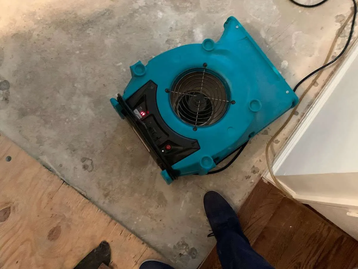 Air mover drying subfloor during Leak Detection & Repair in East Flat Rock